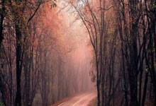 开云体育中国官网-迪亚斯打出生涯之夜，佛罗伦萨掀翻塞维利亚，欧战舞台上的意大利奇迹