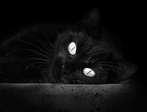 年度焦点之战之夜，英格拉姆末节接管比赛